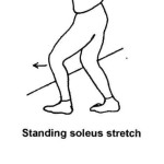 Standing soleus stretch