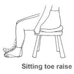 Sitting toe raise Sitting toe raise